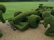 Vamos recortar fórmula jardín