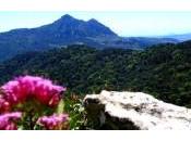 Paraje natural Reales Sierra Crestellina