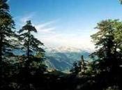 Paraje Natural Reales Sierra Bermeja