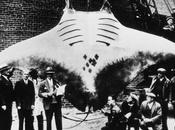 Mantarrayas...un animal enorme…