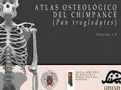 Atlas digital osteología chimpancé.