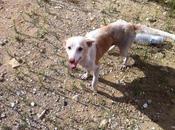 Mañana queda nadie viejita serios apuros Cádiz URGENTE