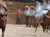 Pialadero Charro para Tenamaxtlán