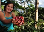 café peruano: UNALM desarrolla mejoras tecnológicas servicios para productores