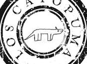 Catopumas 26/08/2021 Siobo (Almería).