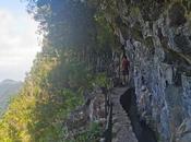 Levada Caldeirao Verde