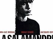 SALAMANDRA Alain Tanner