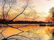 4.645 quiero decirte...