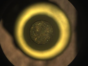 rover Perseverance recoge muestras suelo marciano