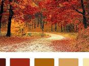 Colores Otoño.