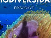 Biodiversidad