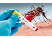 Encuentran compuesto neutraliza virus dengue