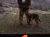 DISPUTADO VOTO SEÑOR CAYO Antonio Giménez Rico