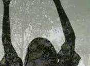 Starpil Revoluciona Sector Depilación Línea Pure Vegan