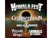 Niwala Fest 2021, cartel completo