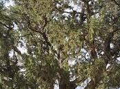 Hacia europa justa climáticamente neutral para todos