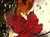 4.721 color morado...