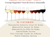 SESIÓN INICIACIÓN VINOS JEREZ MANZANILLA: Seminario introducción vinos "Bodegas Yuste" Sanlúcar Barrameda