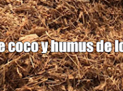 mejor mezcla para cultivar macetas: fibra coco humus lombriz.