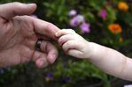 Paternidad