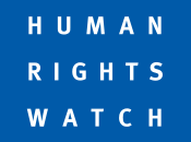 Becas Human Rights Watch 2012