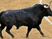 “Telito”: premio mejor toro Feria Málaga