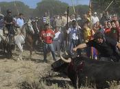 toro vega, bienvenidos españa medieval