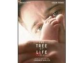 árbol vida Tree Life