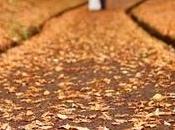 Decoración para Bodas Otoño Invierno