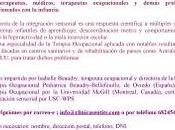 Curso introducción integración sensorial