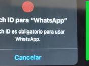 Consejos seguridad para blindar WhatsApp iPhone