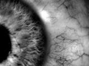 ¿Aceptas bien críticas?