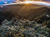 Fundación Futuro participa Foro Internacional Sostenibilidad organizado Cámara Industrias Producción