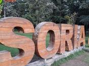 Parques: siempre aves, salud