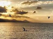 4.796 amigas fieles...