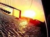 4.808 tarde marchita...