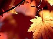 4.815 dónde escondes...