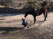 diciembre: celebra Nacional Gaucho