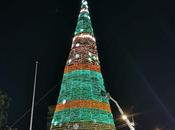 Listo gigantesco árbol navideño Plaza Fundadores
