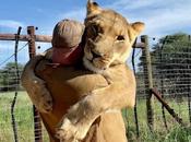 abrazo leona humano.