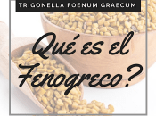 ¿Qué Fenogreco?