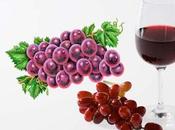 Resveratrol Propiedades