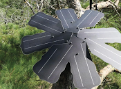 “guardianes bosque” proyecto protege reservas mashpi tayra chocó andino