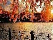 4.873 vuelan hojas...