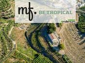 Tropical Friend, nueva tienda online Millenium