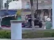 (Video) razer derriba árbol navidad Tamasopo