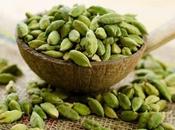 Cardamomo: Usos, Beneficios Contraindicaciones