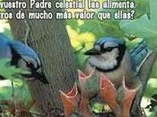Tómalo Suave
