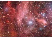 'Angry Bird' estelar