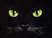 gato negro Edgar Allan
